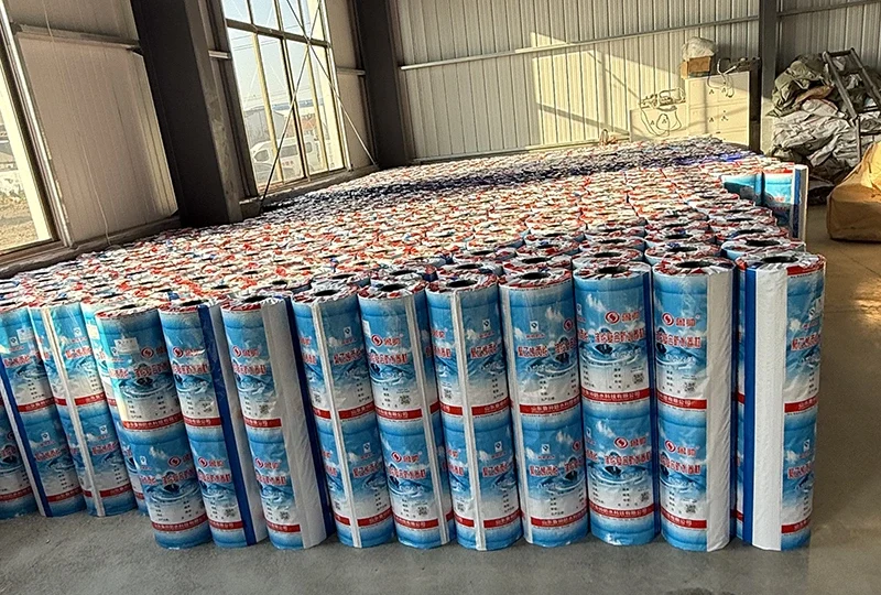 Attrezzatura di linea di produzione di membrana in polietilene in polipropilene